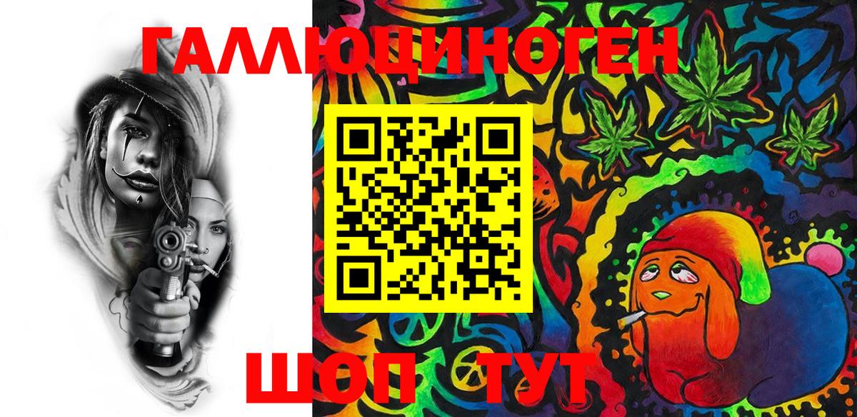 Псилоцибиновые грибы Psilocybe Новороссийск