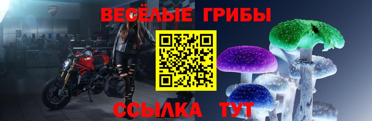 Псилоцибиновые грибы Psilocybe  Псилоцибиновые грибы Psilocybe  Вход с VPN  Новороссийск 